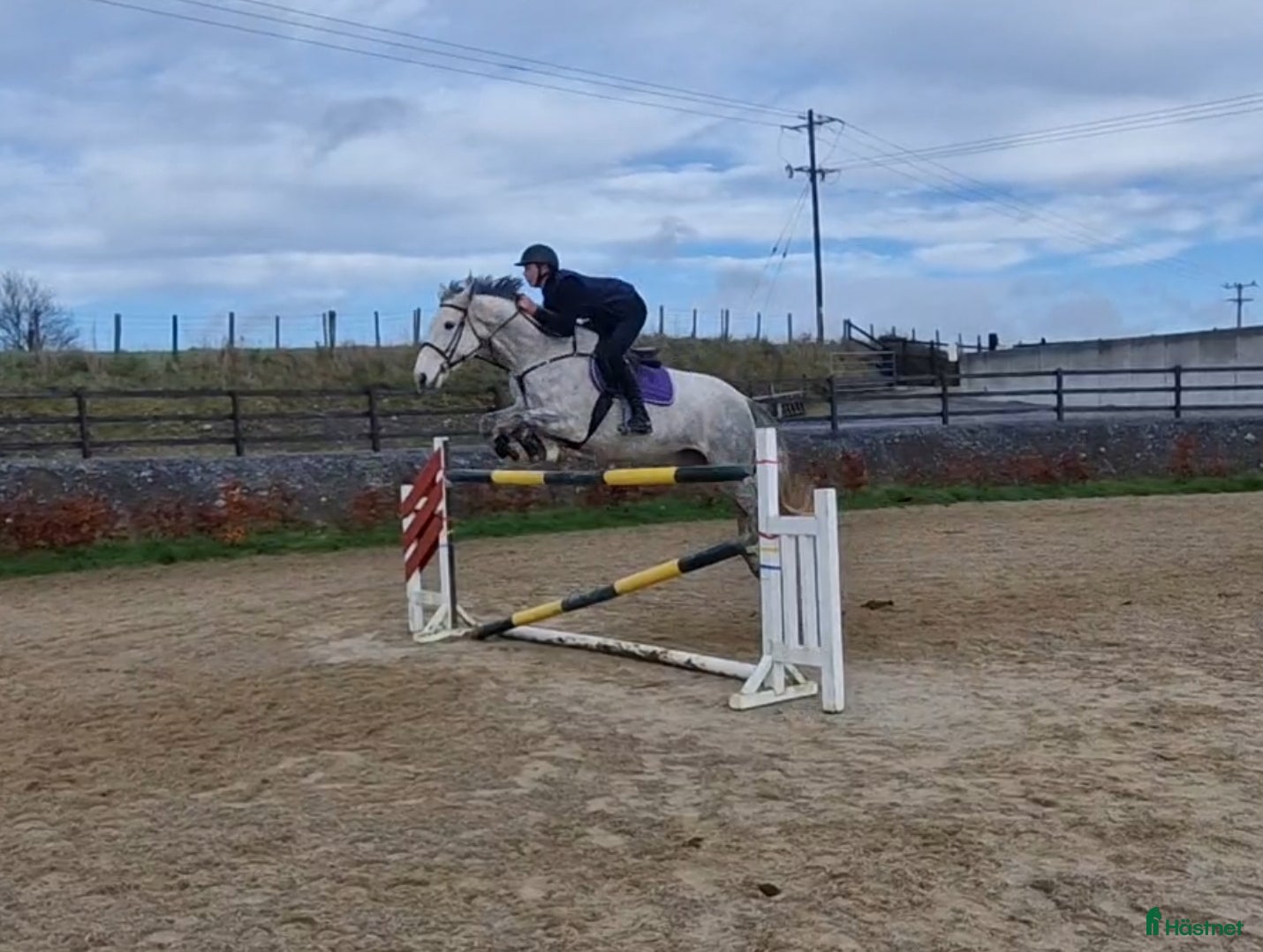  hästar Irish sport horse  i Göteborg - Annons 3