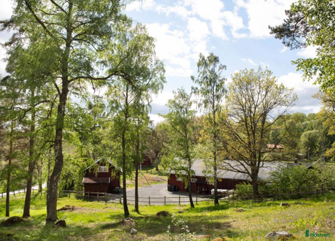  stallplats finnes: Stall uthyres 1h norr om Stockholm - Annons 4