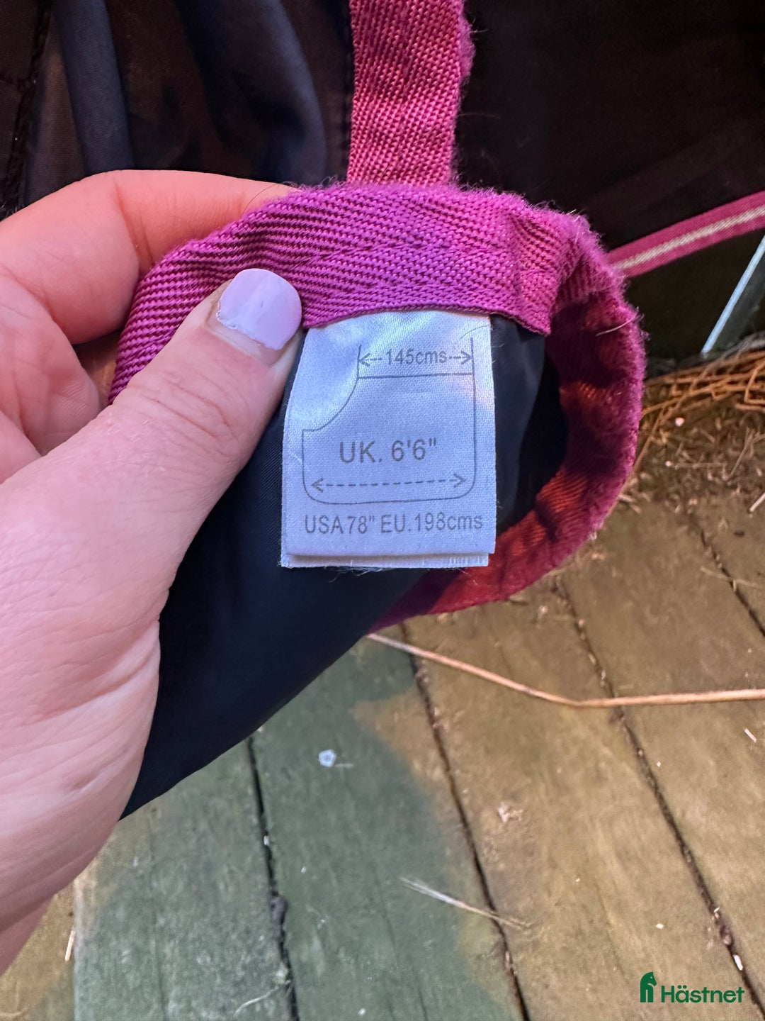 Täcken hästutrustning till salu: Svett täcke från Amigo, nyskick! i Forserum - Annons 5