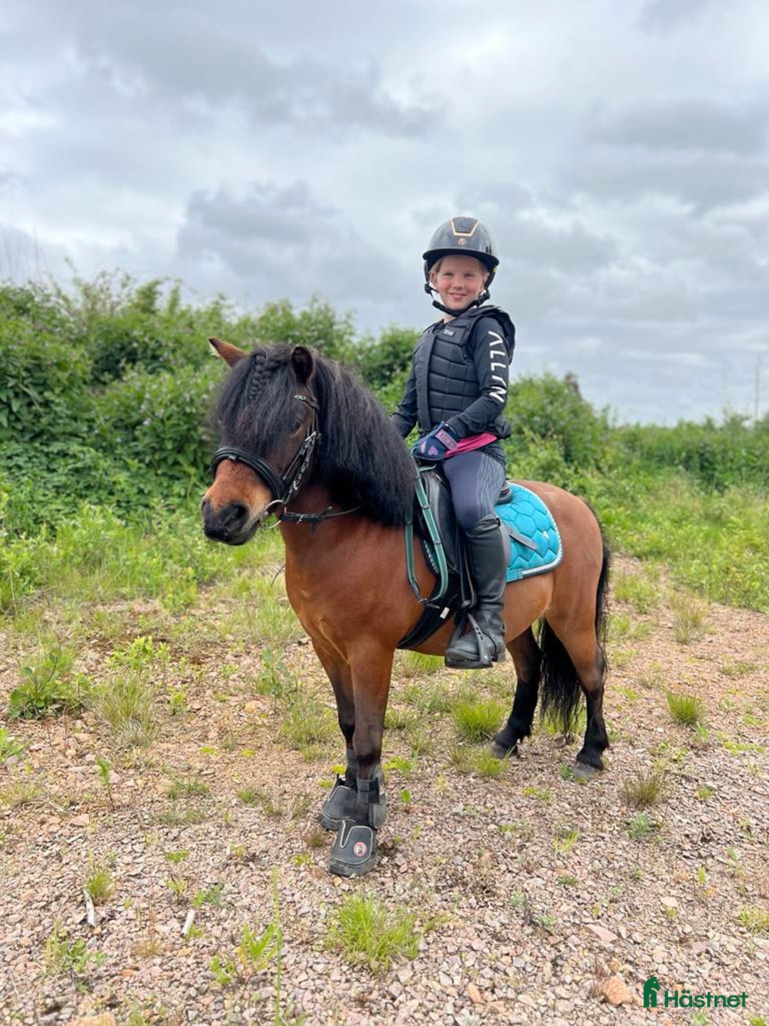  medryttarhäst finnes: Vi söker medryttare till vår A-ponny! i Åled - Annons 3