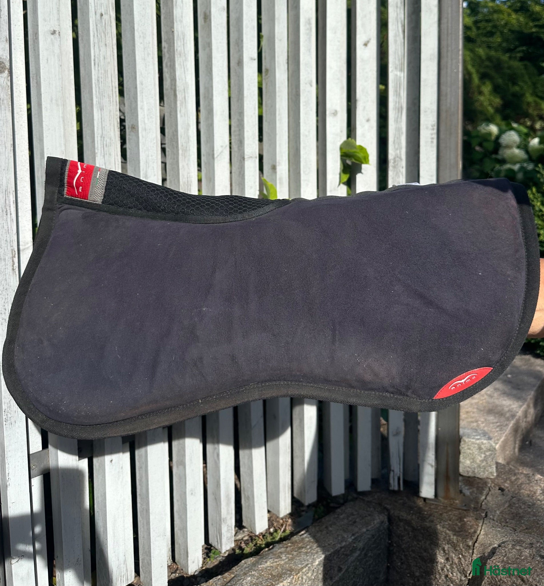 Sadeltillbehör hästutrustning till salu: Animo Memory Foam W-Pad - Annons 1