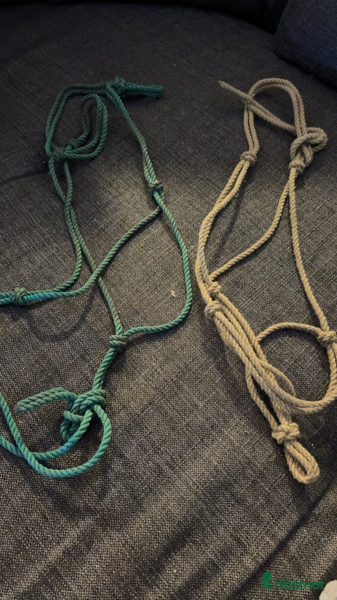 Övrig Hästutrustning hästutrustning till salu: Häst utrustning  i Nyköping - Annons 1