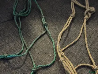 Övrig Hästutrustning hästutrustning Häst utrustning i Nyköping - Annons 4