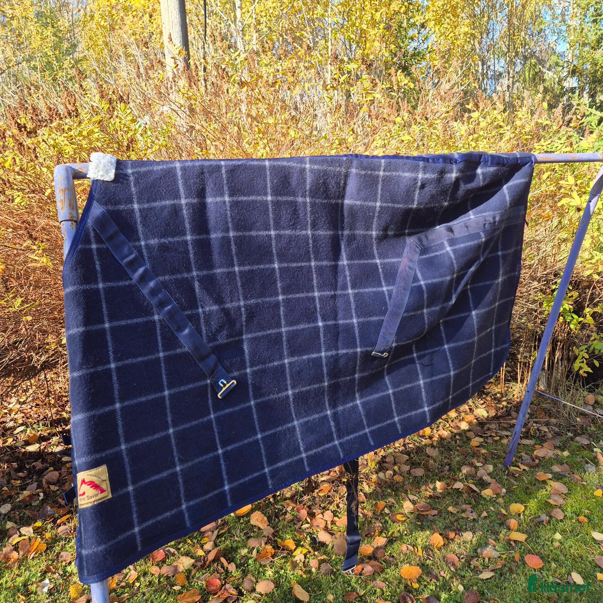 Täcken hästutrustning till salu: Ulltäcke - Annons 2