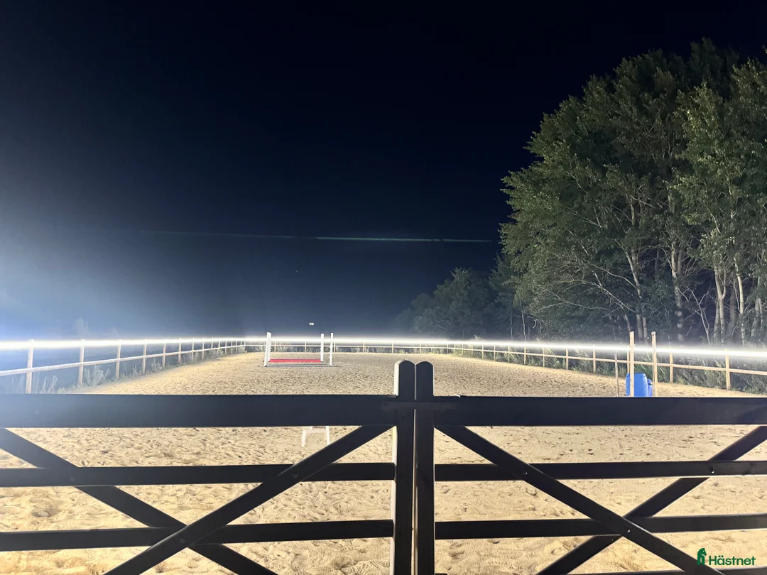  stallplats finnes: Boxplats - stora hagar och lugn stallmiljö   - Annons 3