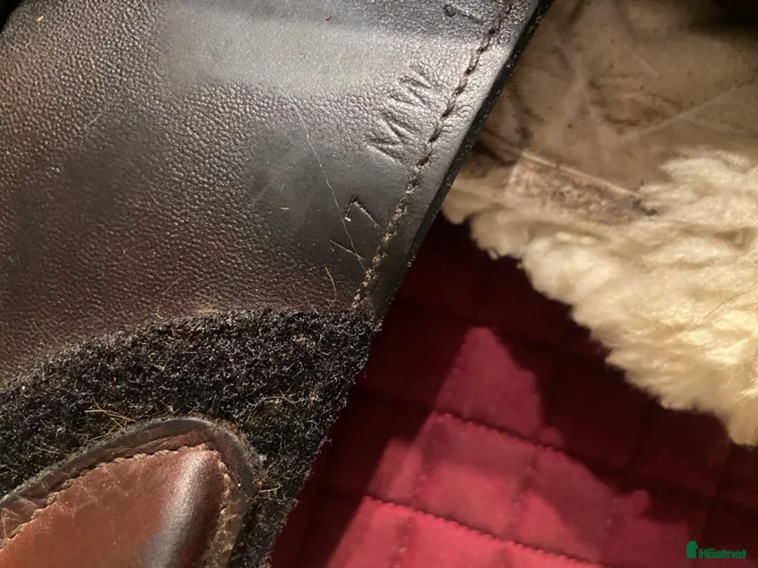 Sadlar hästutrustning till salu: Omstoppad kalvskinnssadel till salu i Stockholm - Annons 6