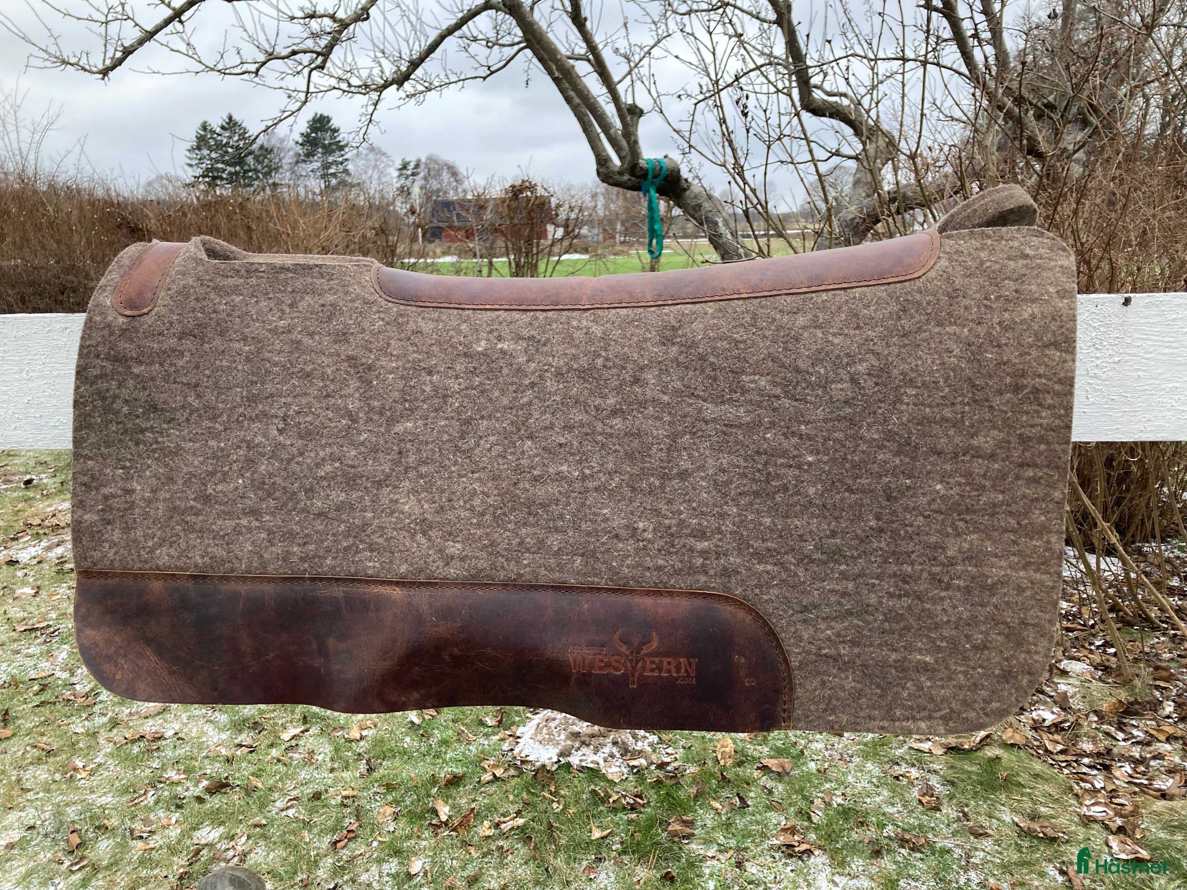 Sadeltillbehör hästutrustning All that western pad i Vitaby - Annons 3