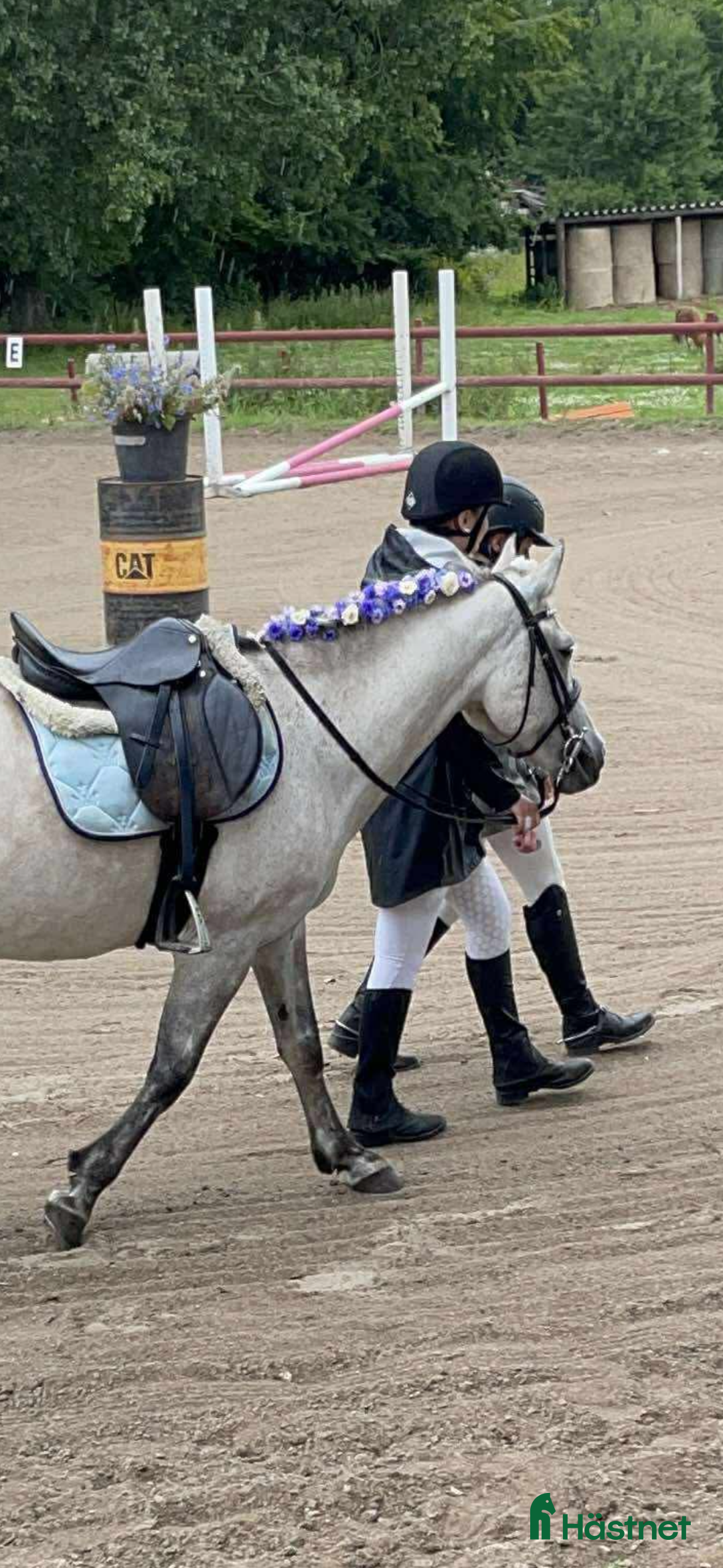 Allround hästar till salu: Fin B-ponny / tävlings ponny i Kävlinge - Annons 10