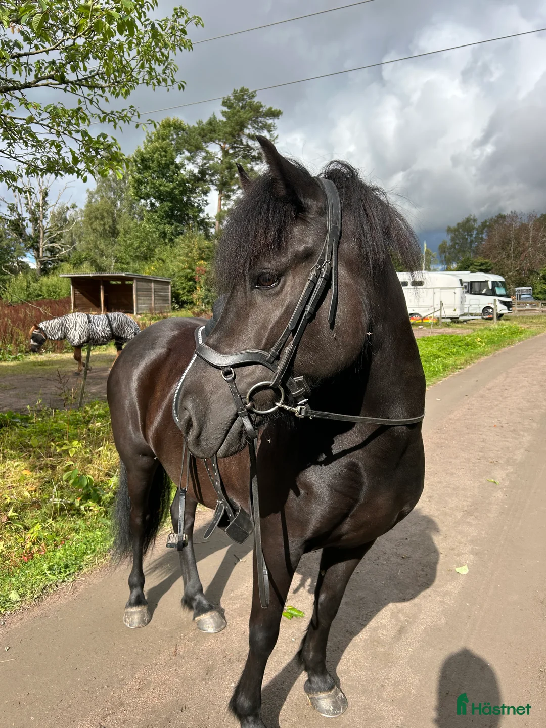 Galleribild {{count}}