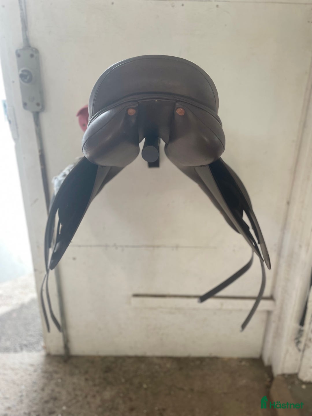 Sadlar hästutrustning till salu: Ordo katla i Riala - Annons 3