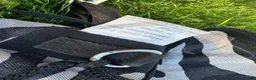 Täcken hästutrustning till salu: Zebra flugtäcke - Annons 2