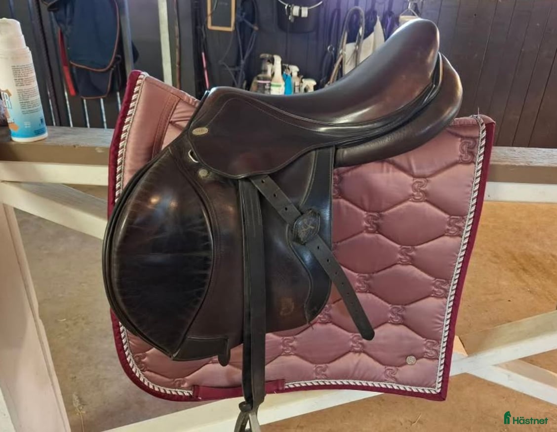 Sadlar hästutrustning Santa Cruz  - Annons 14