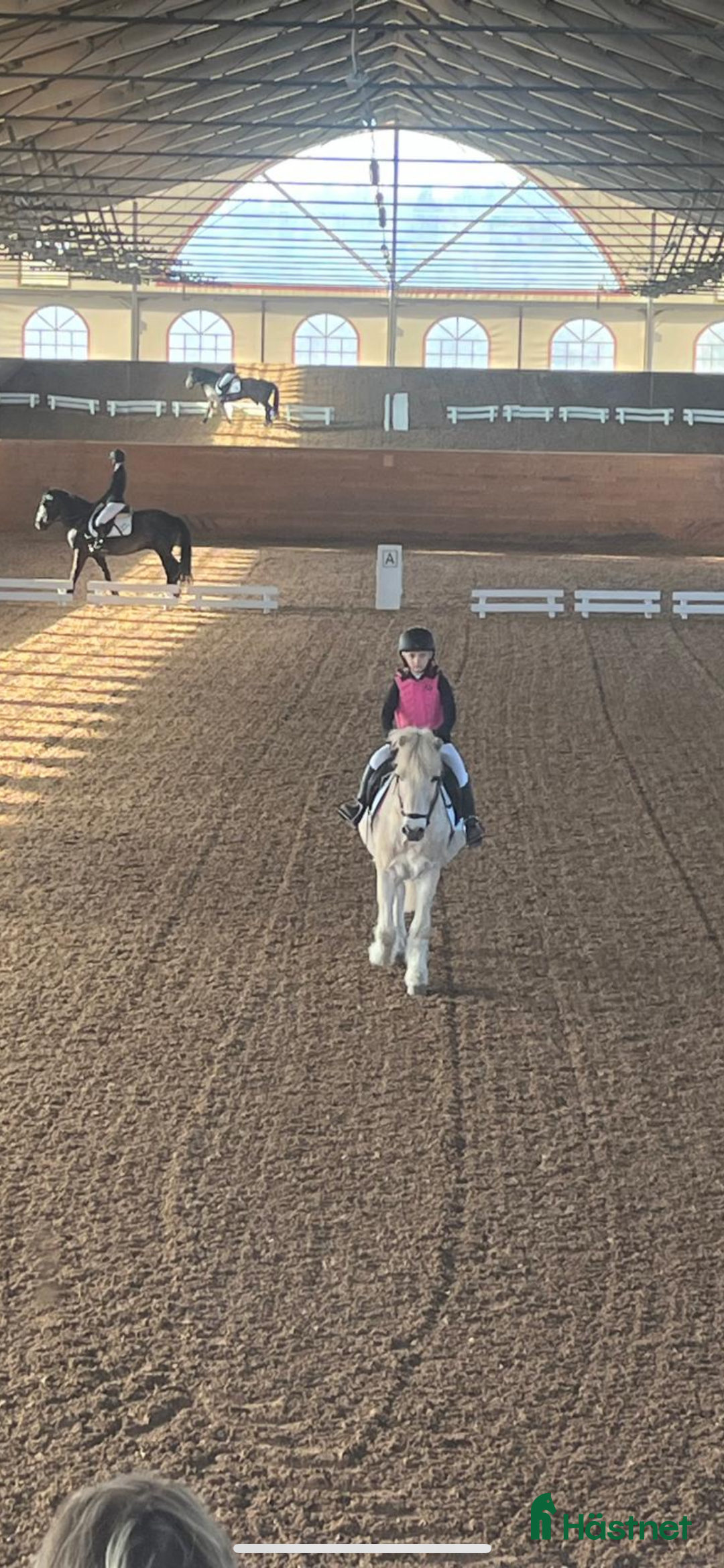  medryttarhäst finnes: Medryttarhästar och ponnyer finns i Rosersberg - Annons 5