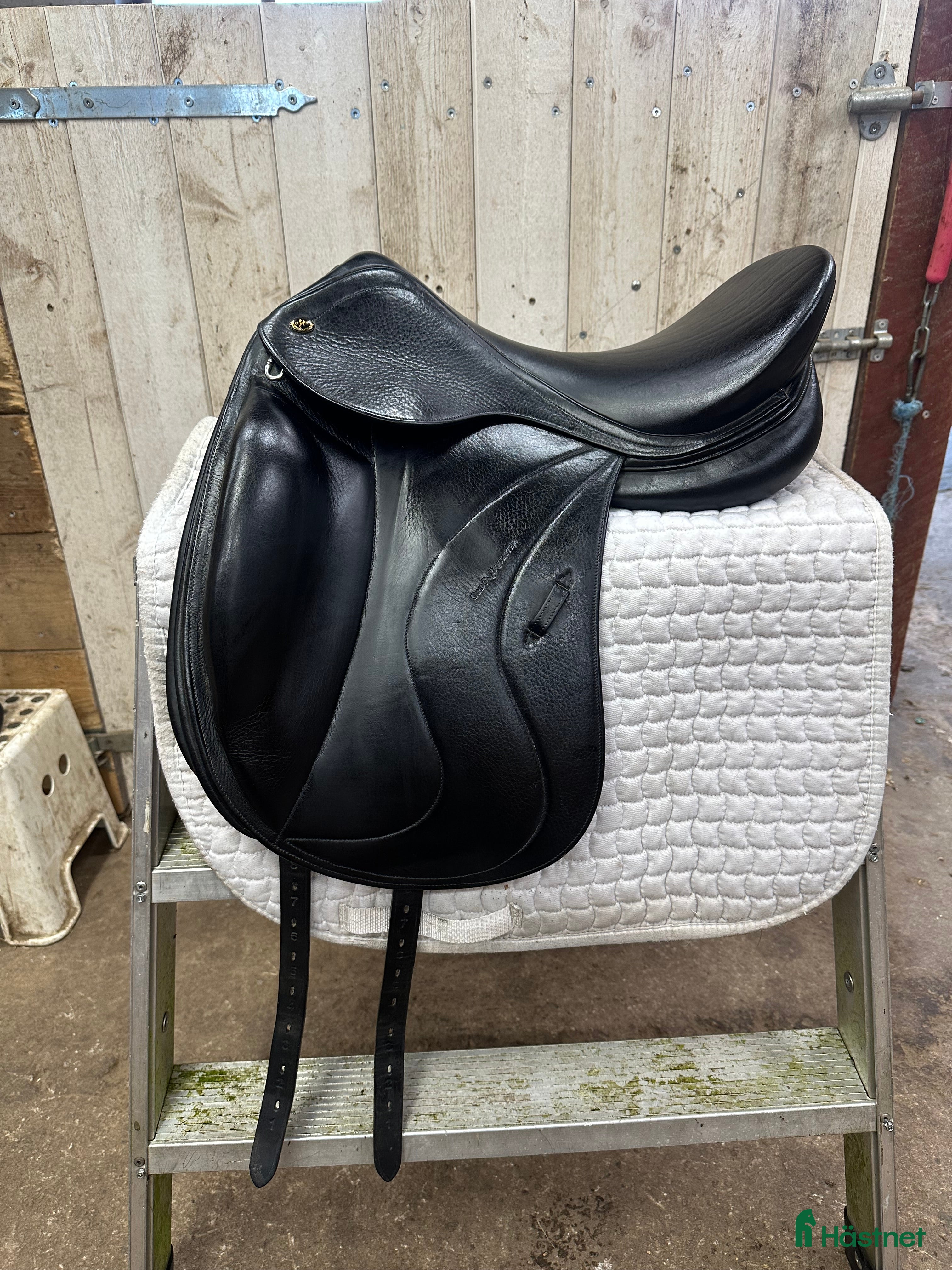Sadlar hästutrustning till salu: Ordo Equester Venus  i Skillingaryd - Annons 15