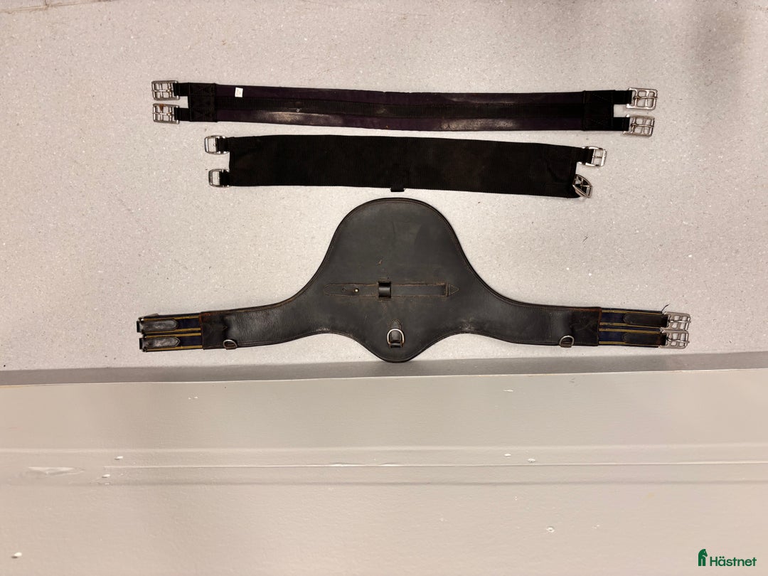 Sadeltillbehör hästutrustning till salu: 6 blandade sadelgjordar  i Växjö - Annons 2