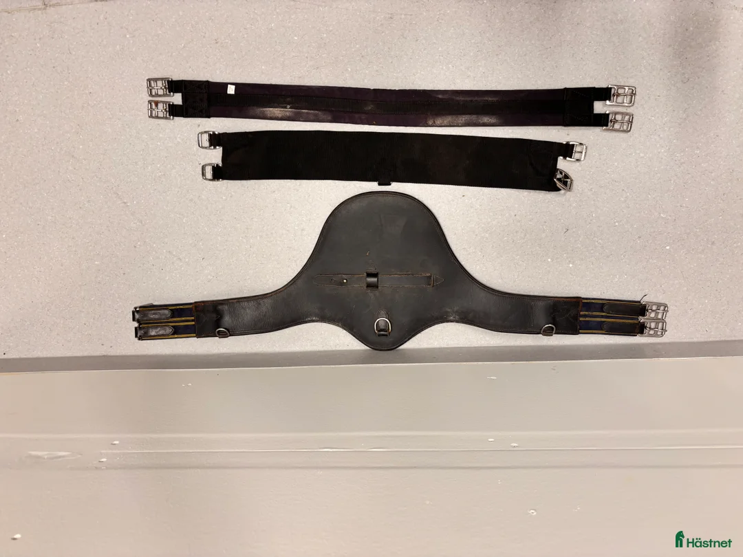 Sadeltillbehör hästutrustning till salu: 6 blandade sadelgjordar  i Växjö - Annons 2