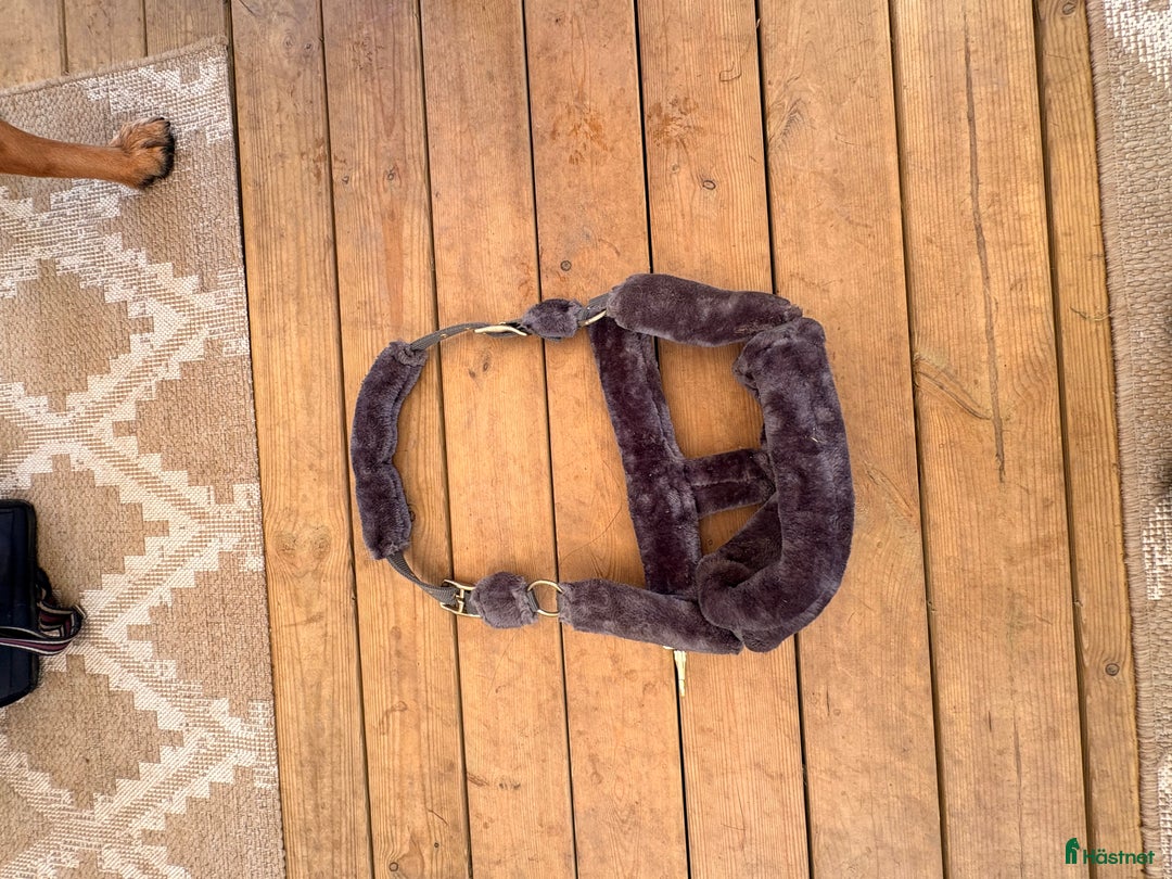 Övrig Hästutrustning hästutrustning till salu: Blandade häst prylar  i Alingsås - Annons 7