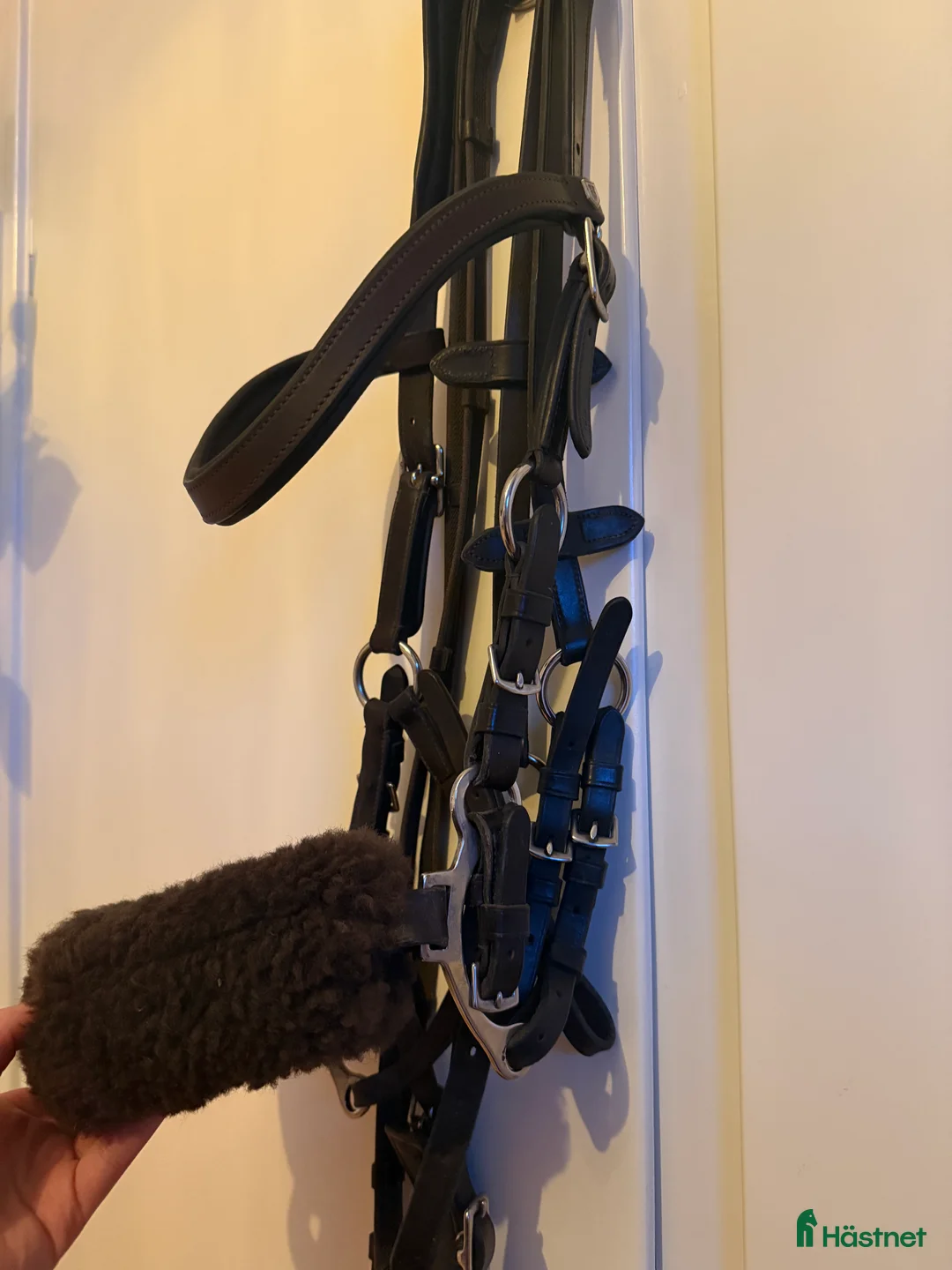 Träns hästutrustning till salu: Carl Hedin kombinationsträns  - Annons 4