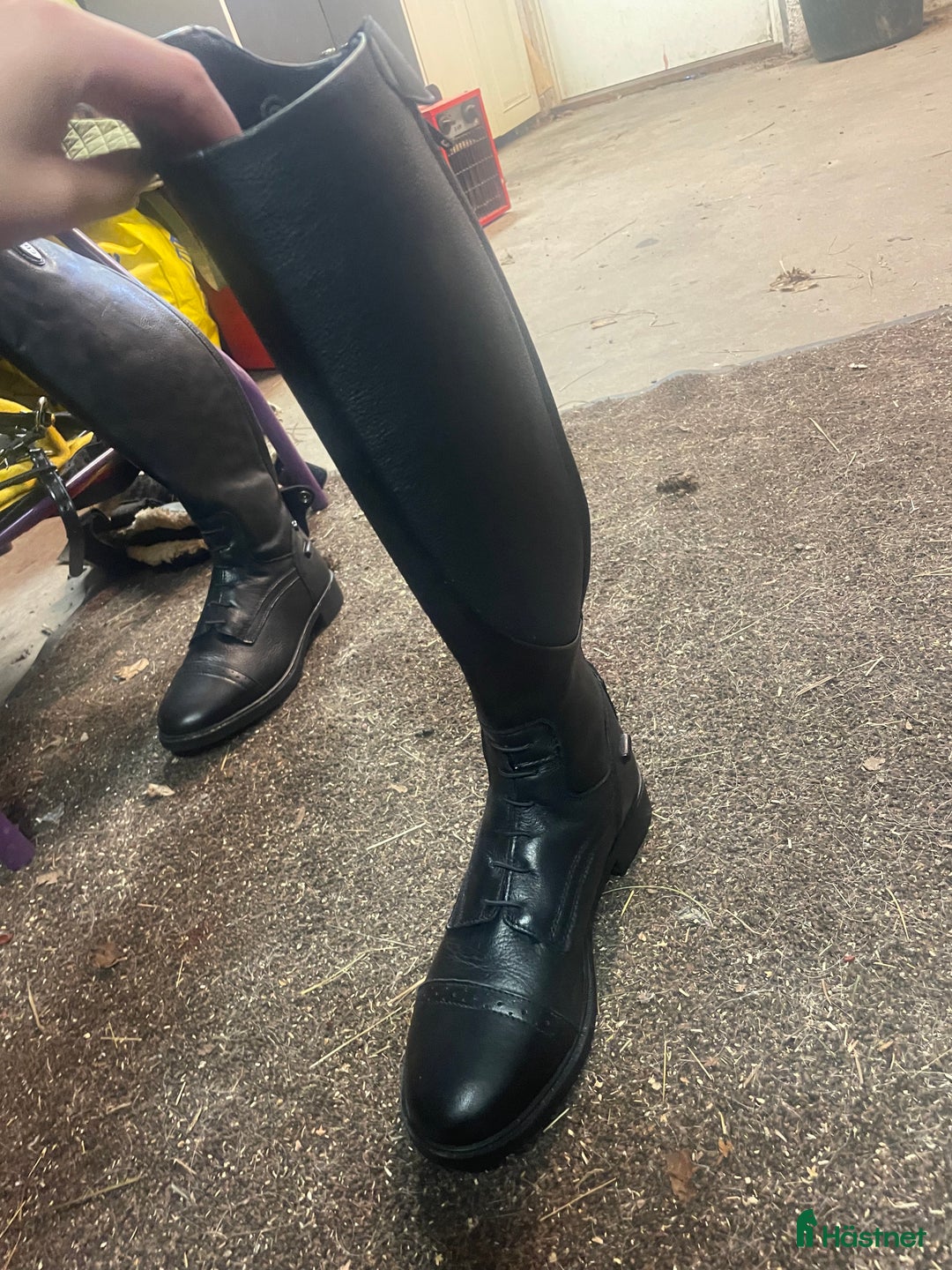Ridstövlar ryttarutrustning till salu: Ridstövlar  i Falun - Annons 2