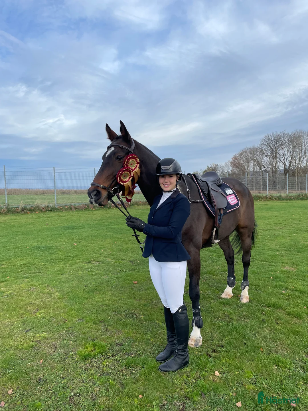 Hoppning hästar till salu: Fin och sportig hopphäst  i Alunda - Annons 2