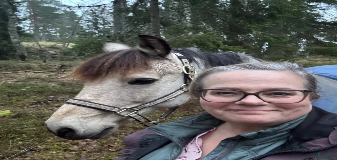 Galleribild {{count}}