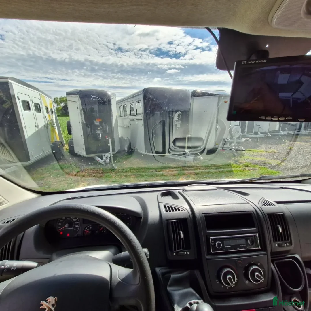 Hästtransporter  fordon & transport till salu:  Peugeot Boxer MSG Stablehopper i Borås - Annons 9