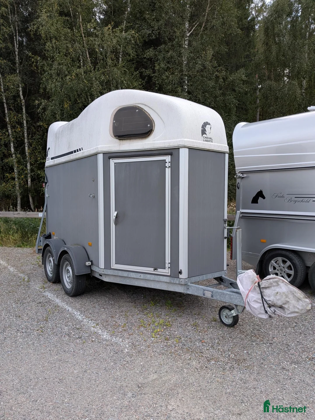 Hästtransporter  fordon & transport till salu: Cheval Liberte Gold  - Annons 9