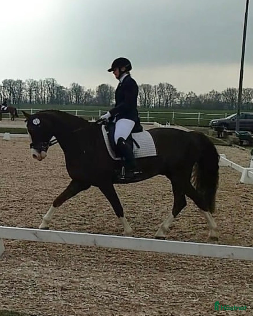  hästservice finnes: Inridning / utbildning i Munka-ljungby - Annons 2