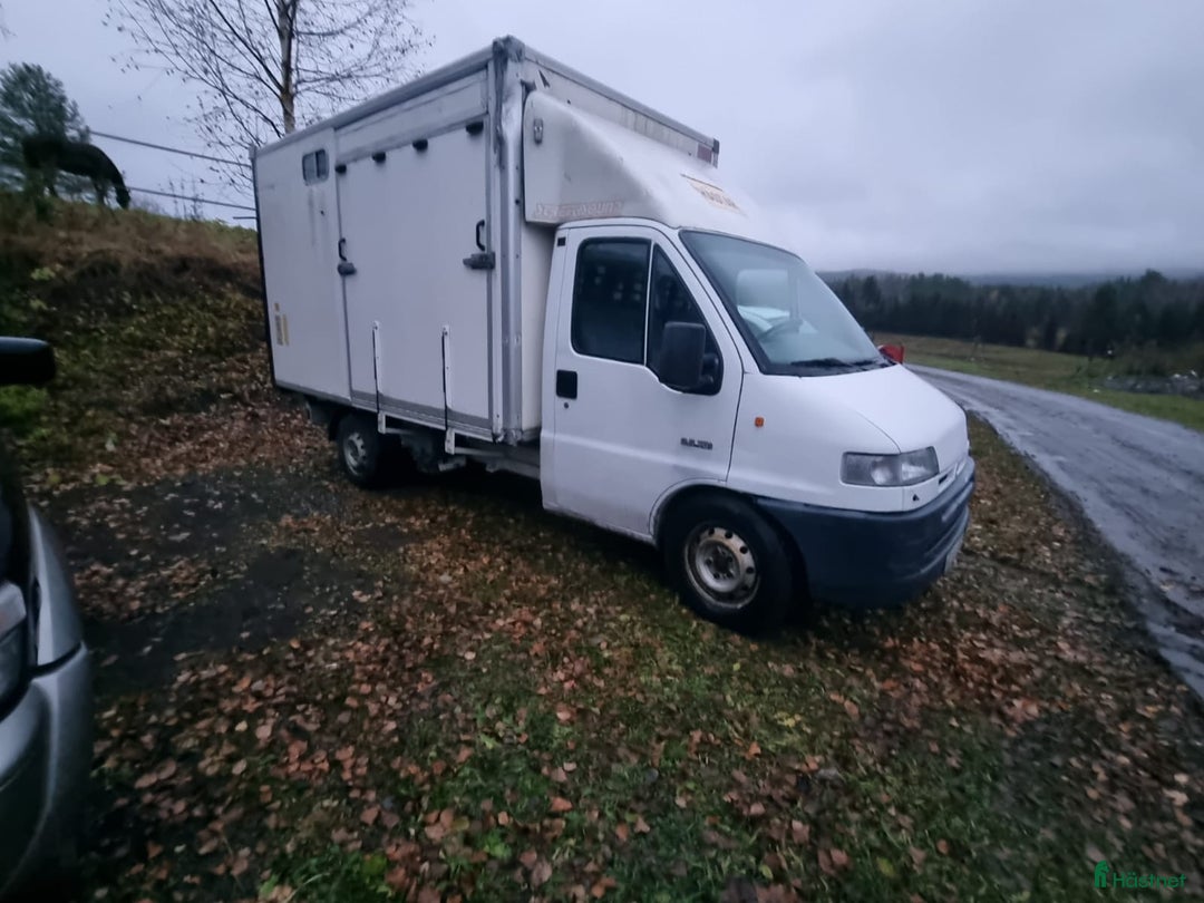 Hästlastbilar  fordon & transport till salu: Hästlastbil/Hästtransporter i Hoting - Annons 2