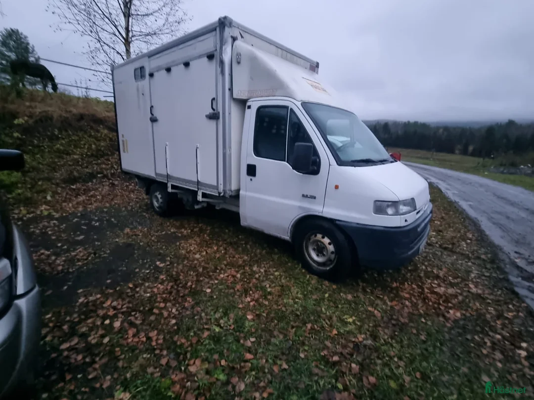 Hästlastbilar  fordon & transport till salu: Hästlastbil/Hästtransporter - Annons 2