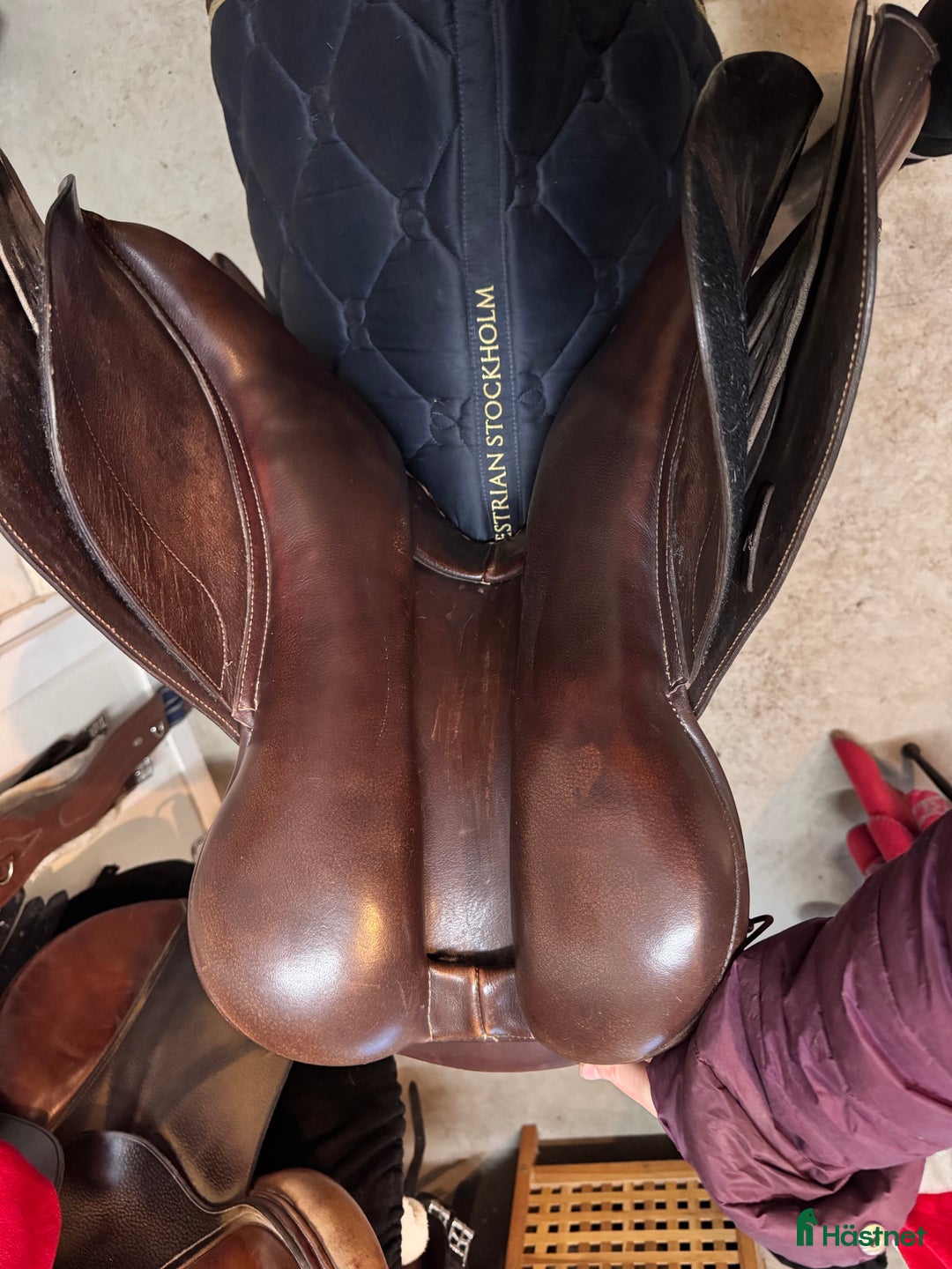 Sadlar hästutrustning till salu: Hoppsadel säljes i Örkelljunga - Annons 4