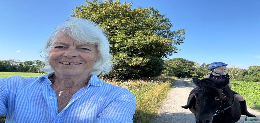 Galleribild {{count}}