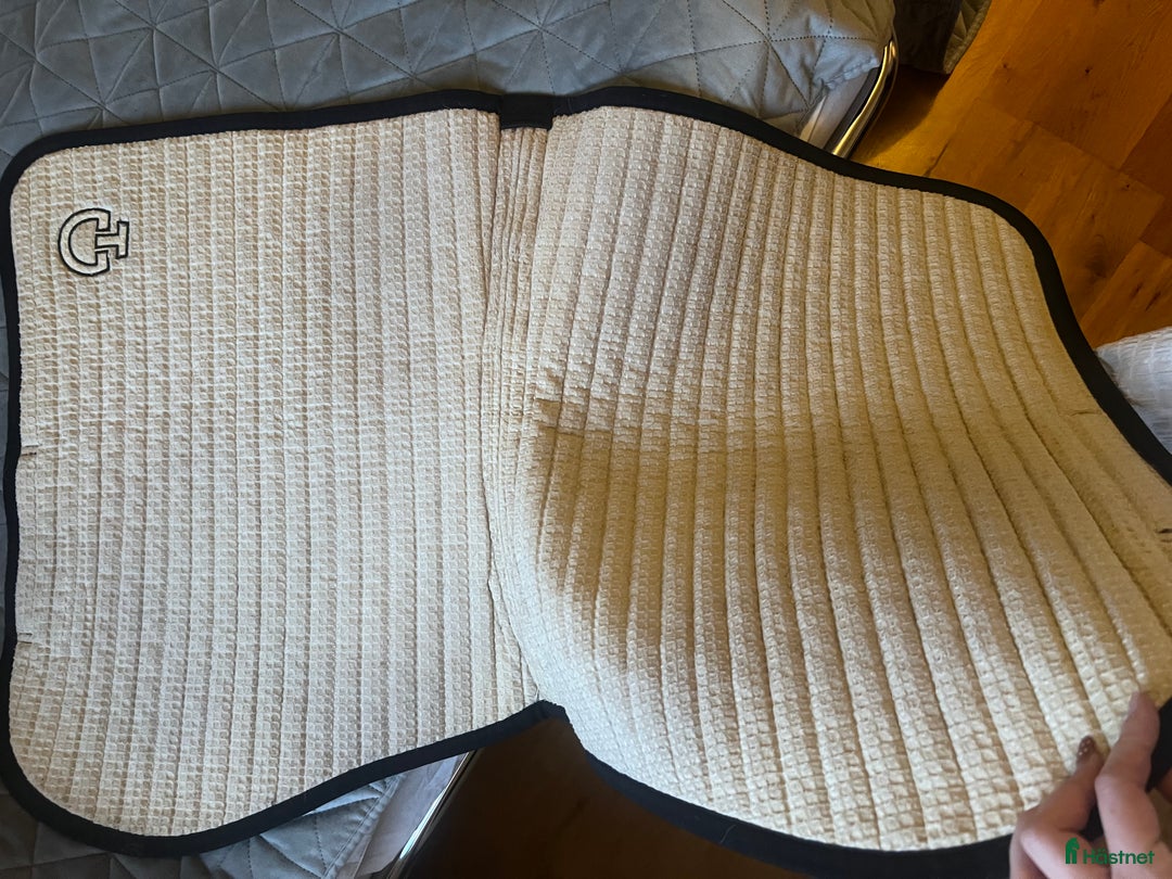 Schabrak & Vojlockar hästutrustning till salu: Cavalleria Toscana schabrak i Värnamo - Annons 4