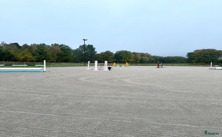  stallplats i Stråvalla - Annons 8