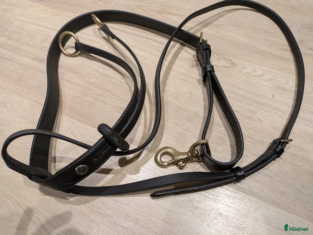 Övrig Hästutrustning hästutrustning till salu: Martingal stl full - Annons 2
