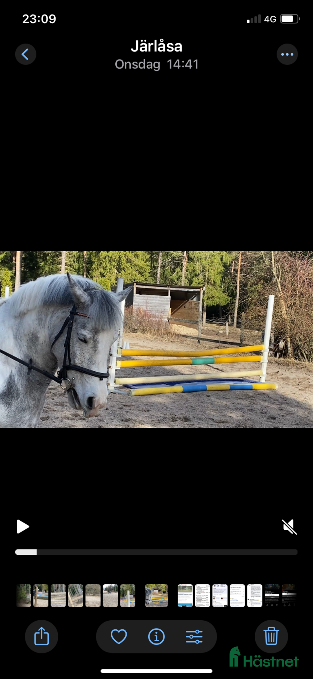  lägenhet till salu: Uthyres gårdslägenhet på hästgård i Järlåsa - Annons 6