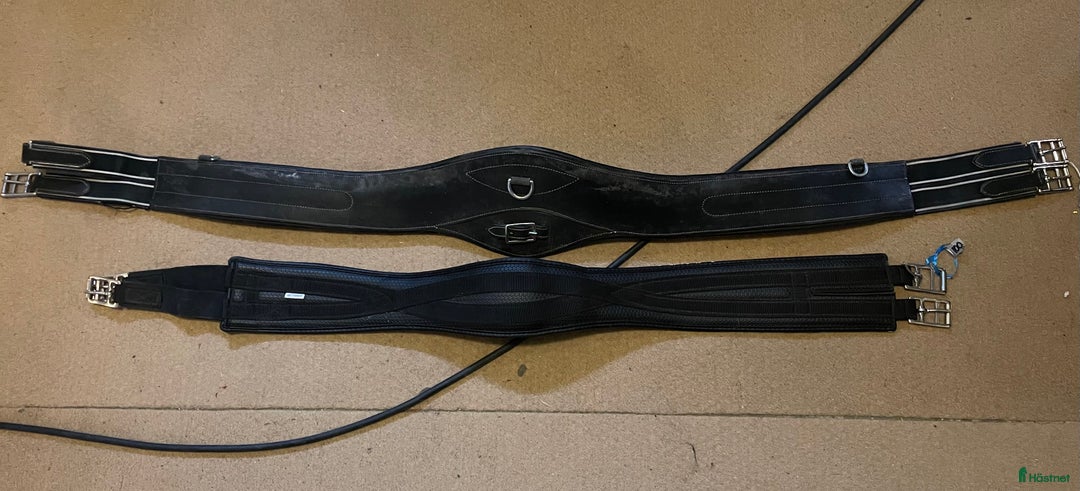 Sadeltillbehör hästutrustning till salu: Sadelgjordar  i Vallberga - Annons 1