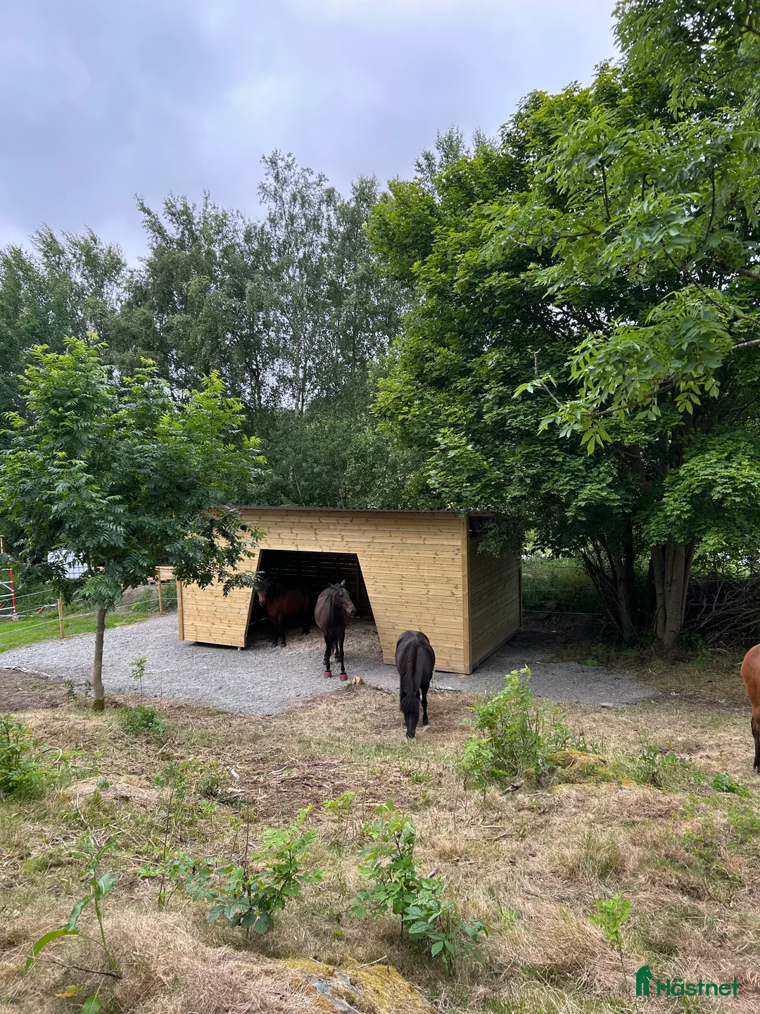  stallplats finnes: Stallplats i Onsala  i Onsala - Annons 5