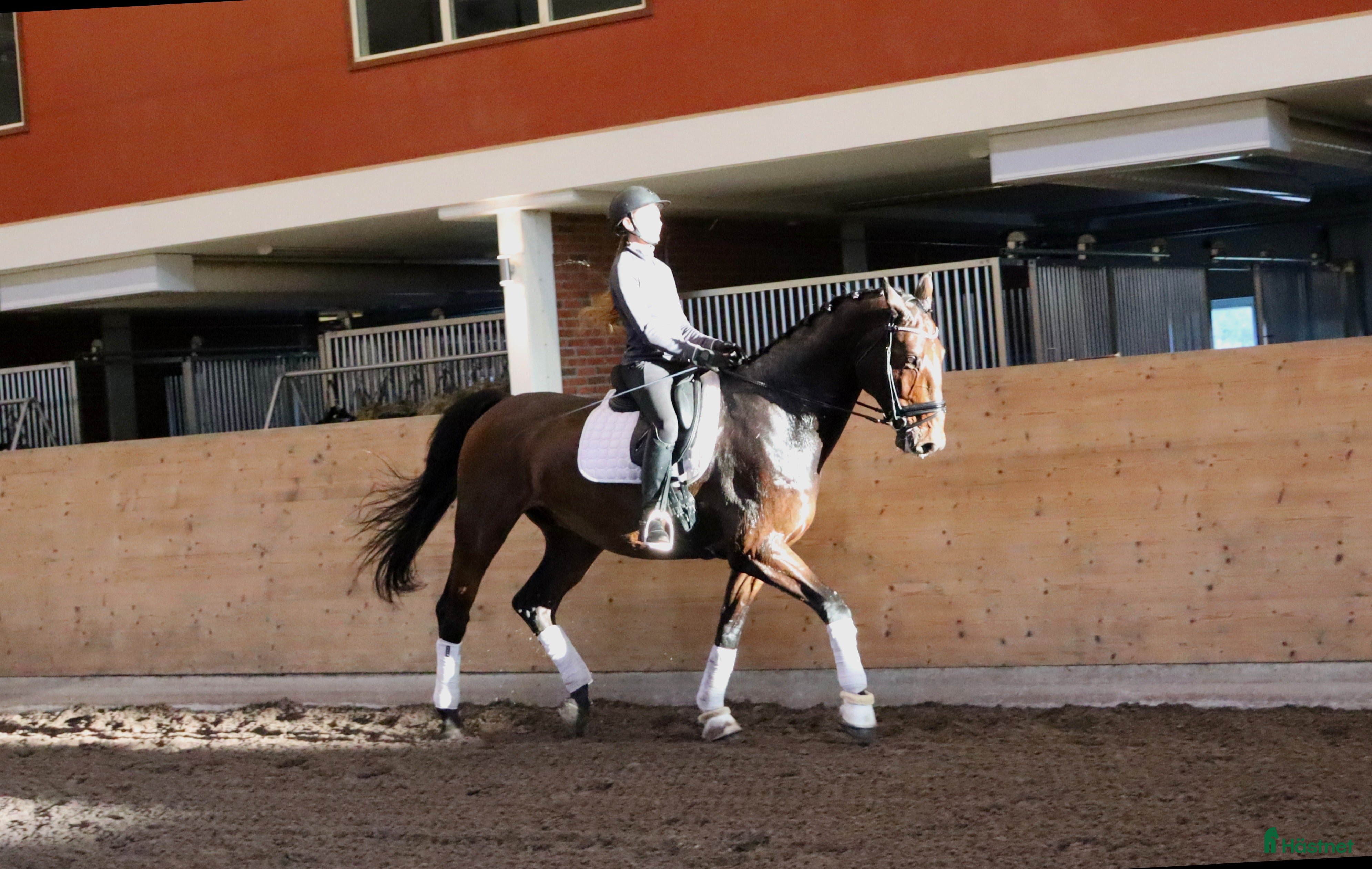  hästar Projekt i Stora Sundby - Annons 14