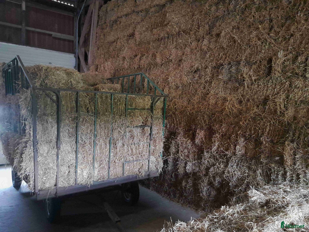 Övrig utrustning övrig utrustning till salu: Hösilage och småbalshalm i Löberöd - Annons 2