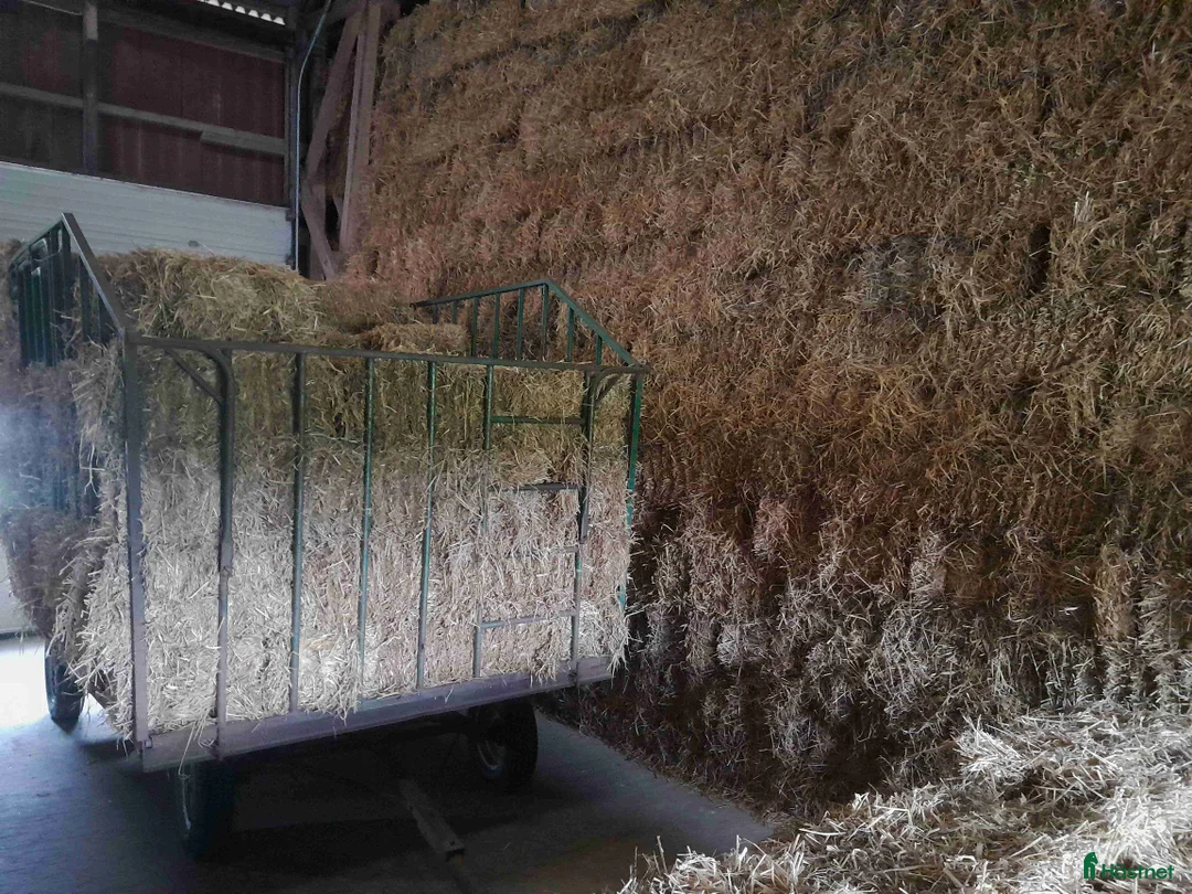 Övrig utrustning övrig utrustning till salu: Hösilage och småbalshalm i Löberöd - Annons 2