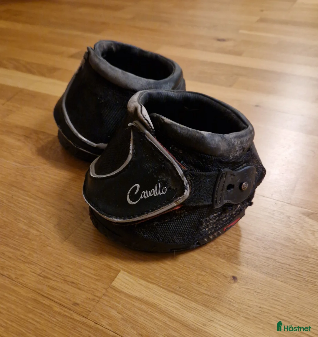 Övrig Hästutrustning hästutrustning till salu: Cavallo sport boots - Annons 1