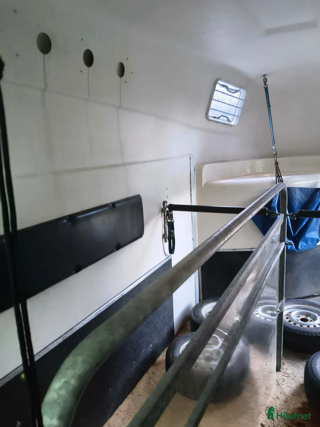 Hästtransporter  fordon & transport till salu: Skynda fynda! - Annons 2