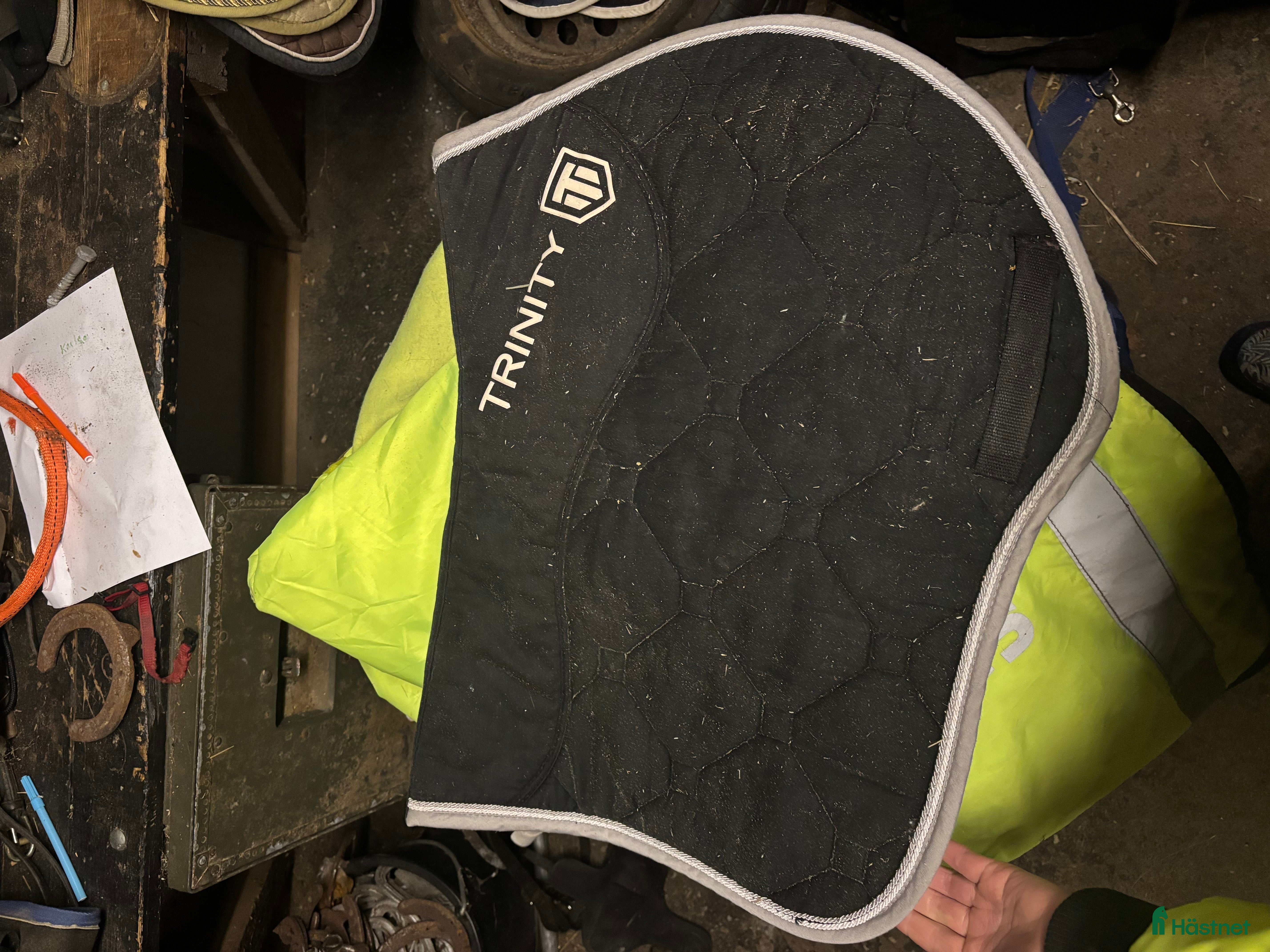 Schabrak & Vojlockar hästutrustning till salu: Schabrak och padd - Annons 18