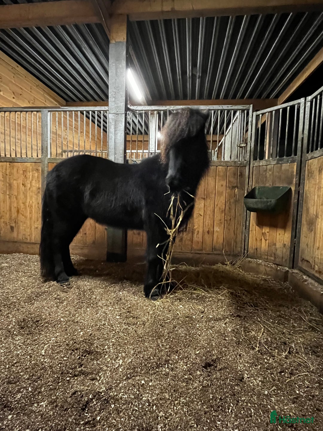  stallplats finnes: Boxplats och lösdrift  i Västerås - Annons 3