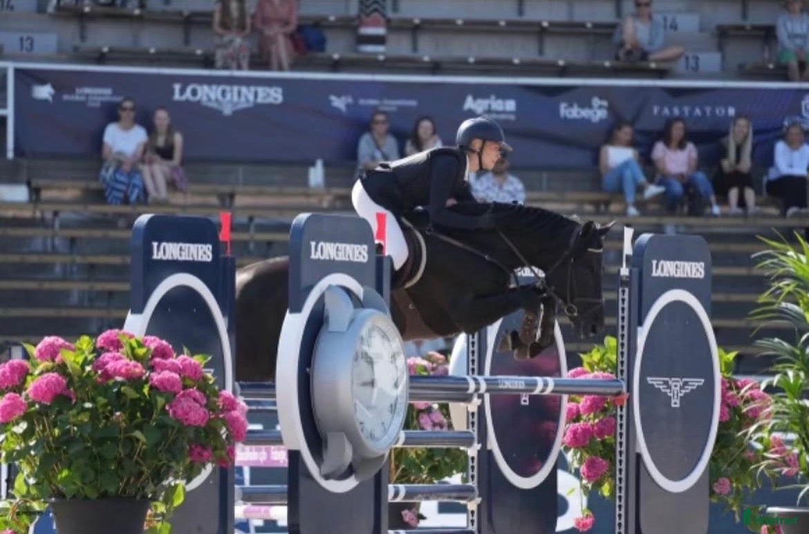  hästar Läromästare och bästa vän!! - Annons 5