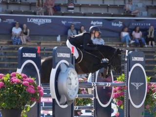 hästar Läromästare och bästa vän!! - Annons 4