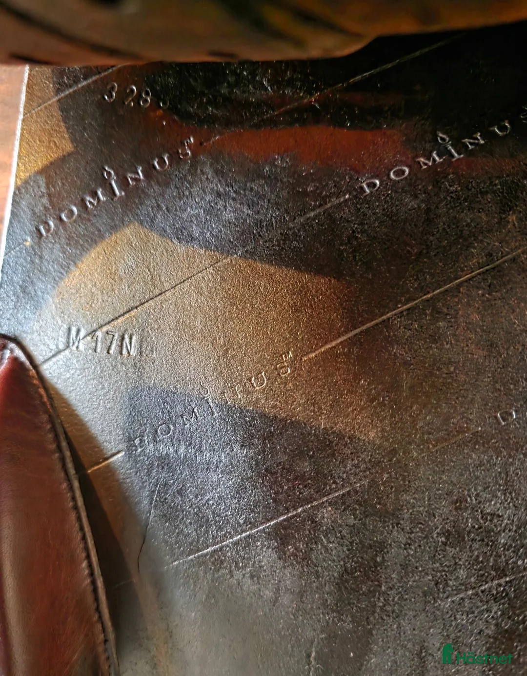 Sadlar hästutrustning till salu: Hoppsadel - Annons 5