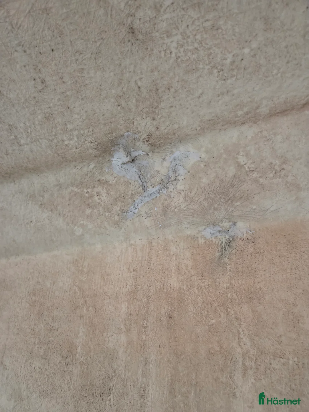 Hästtransporter  fordon & transport till salu: Värmlandsvagn H-2-1500 - Annons 8