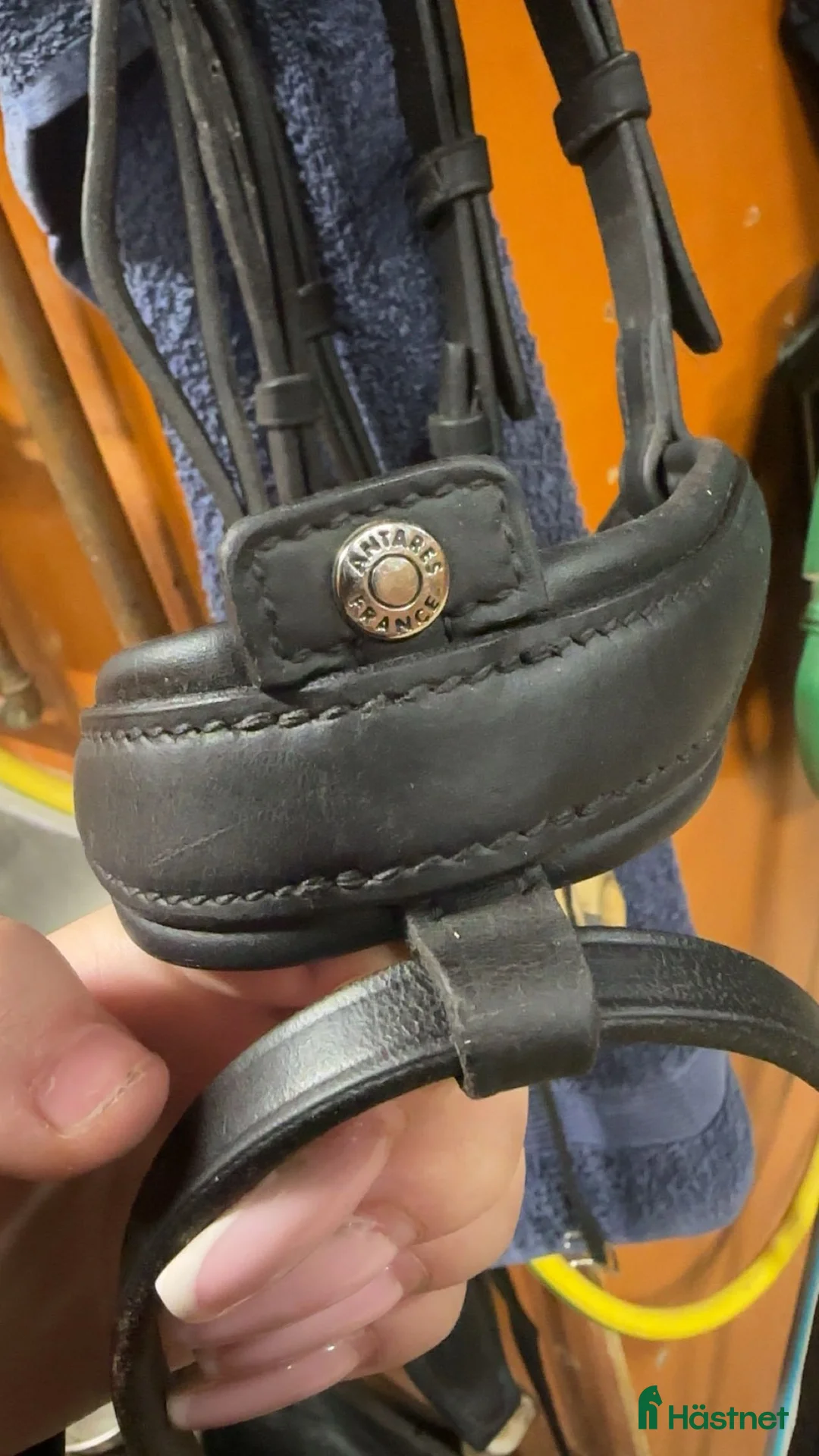 Träns hästutrustning till salu: Svart Antares origin träns storlek full i Boden - Annons 2